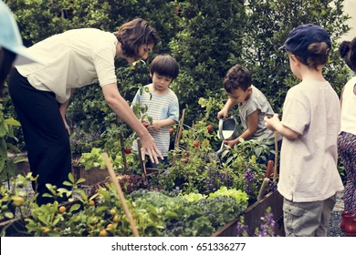 Niños reconociendo los ecosistemas
